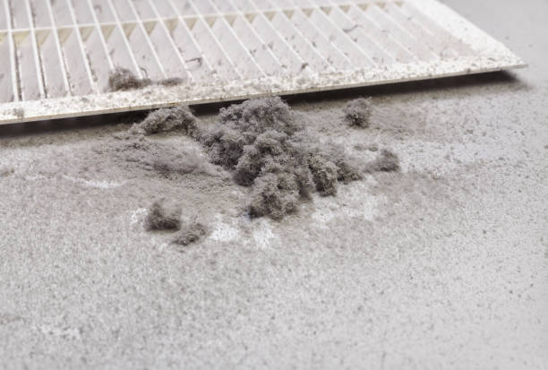 Best Professional Duct Cleaning Services  in Harlem, FL