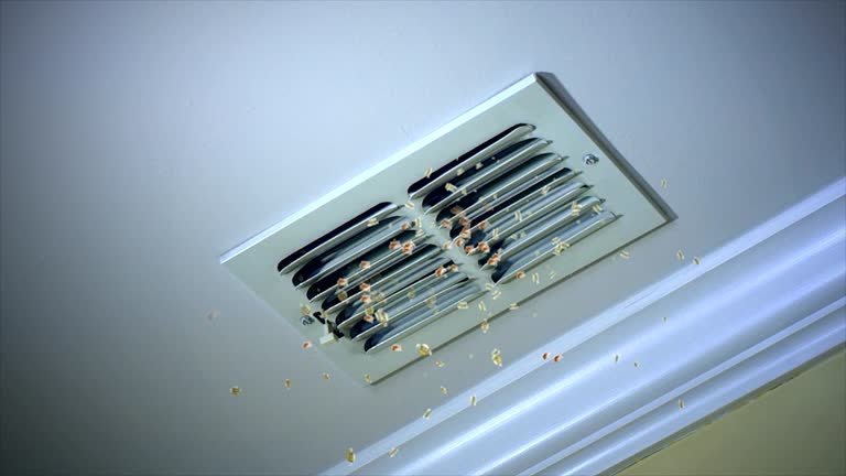 HVAC System Cleaning in Harlem, FL