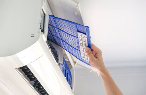 Best Air Duct Mold Removal  in Harlem, FL