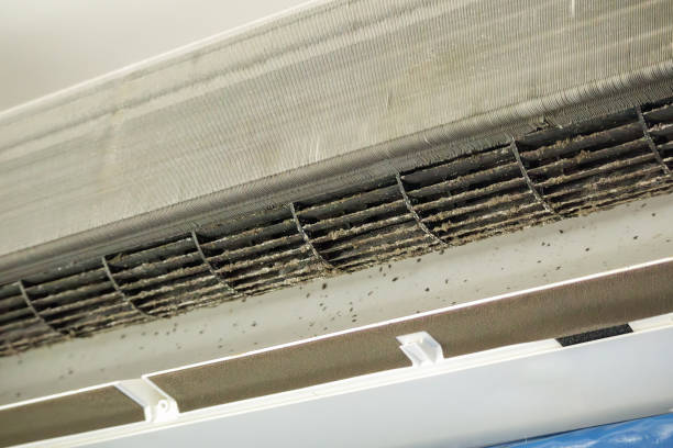 Best Best Air Duct Cleaning Company  in Harlem, FL